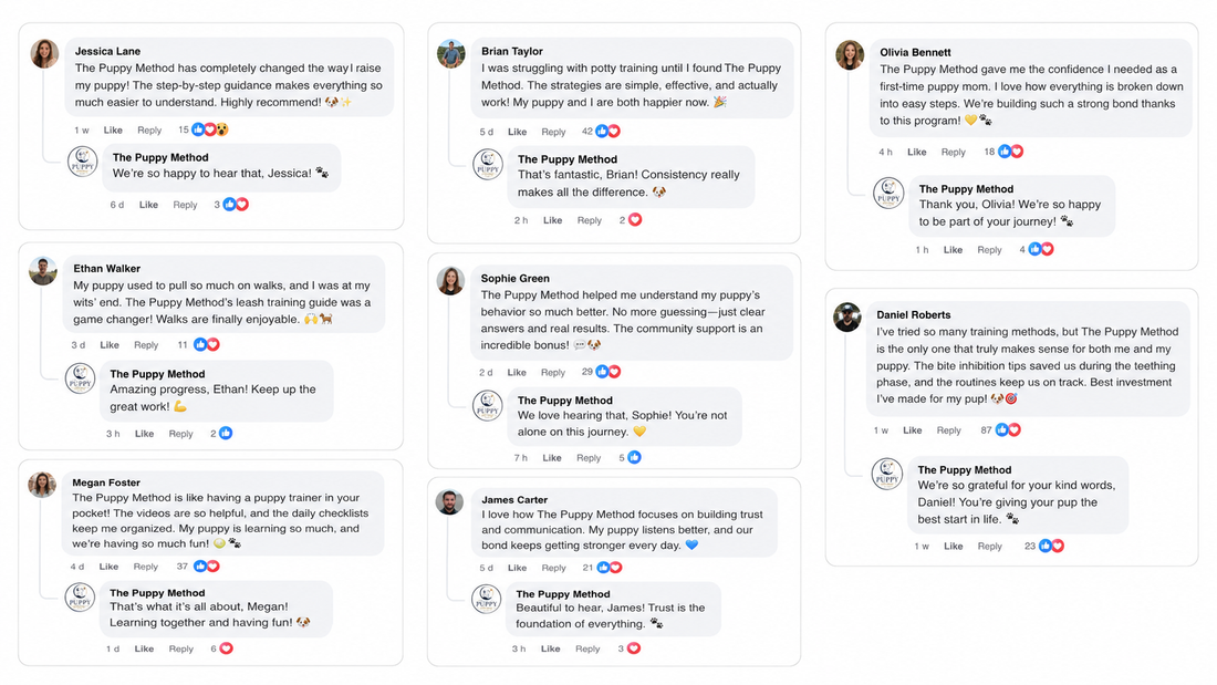 Facebook comments